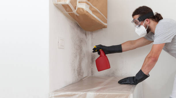 Professional Attic Mold Remediation technician working in Higgins Lake, MI