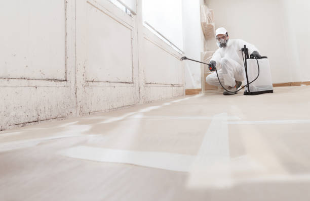 24/7 Emergency Attic Mold Remediation experts in Higgins Lake, MI